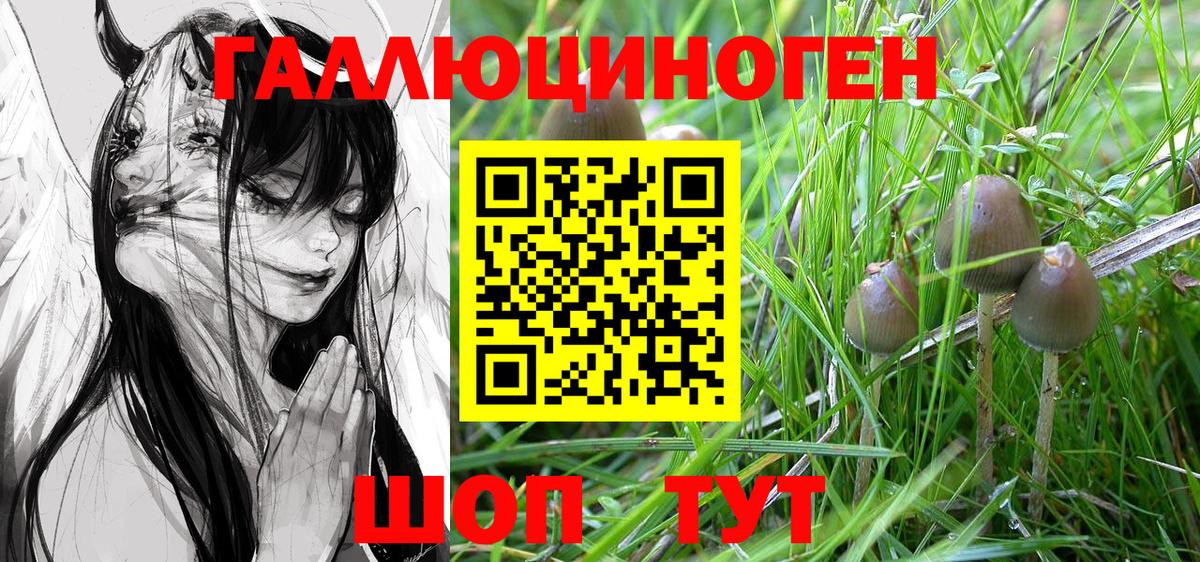 Псилоцибиновые грибы Magic Shrooms  Вход с VPN  Батайск 